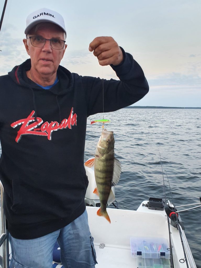 Storm jiggar-arkiv - Rapala Proguide Sverige